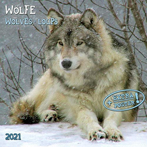 Wolves/Wölfe 2021: Kalender 2021 (Artwork Edition)