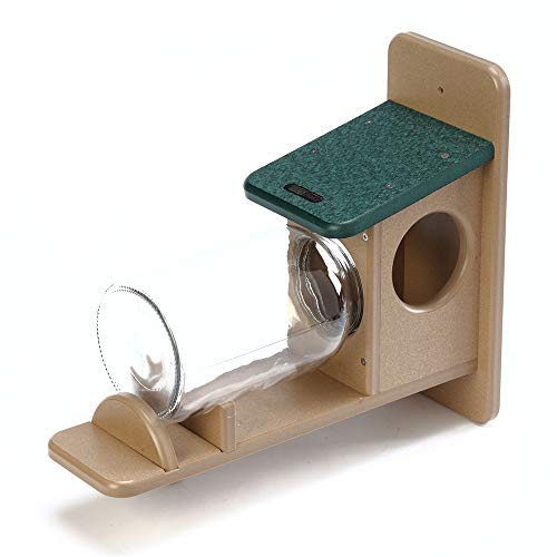 Birds Choice Squirrel Jar Feeder