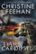 Dark Carousel (The Dark Book 30) (English Edition)