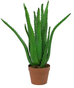artplants.de Deko Aloe Vera Pflanze, 16 Blätter, 65cm - Kunstpflanze Aloe Vera - Deko Sukkulente