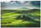 ARTland Wanddeko Wandbild Alu Verbundplatte für Innen & Outdoor Bild 120x80 cm Landschaften Felder Fotografie Grün Sonnenaufgang über einer Olivenfarm S7NL