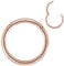 Artskin Grad 23 Titanium Scharnier Nase Ringe Hoops Körper Piercing Ringe Helix Knorpel Rook Ohrringe 20G 18G 16G, Durchmesser 6mm-10mm Schwarz/Silber/Gold/Rose Gold/Pink