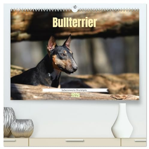 Bullterrier, liebenswerte Sturköpfe (hochwertiger Premium Wandkalender 2026 DIN A2 quer), Kunstdruck in Hochglanz: Beeindruckende Fotos, die die ... Bullterrier widerspiegeln. (CALVENDO Tiere)