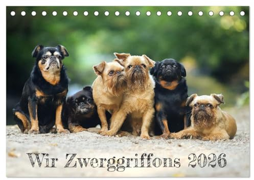Wir Zwerggriffons 2026 (Tischkalender 2026 DIN A5 quer), CALVENDO Monatskalender: Bezaubernde Vertreter der Rasse Zwerggriffon zeigen ihre Gesichter ... den Betrachter in den Bann! (CALVENDO Tiere)