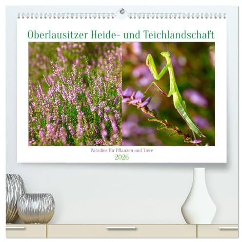 Oberlausitzer Heide- und Teichlandschaft (hochwertiger Premium Wandkalender 2026 DIN A2 quer), Kunstdruck in Hochglanz: Pflanzen und Tiere der Oberlausitzer Heide- und Teichlandschaft (CALVENDO Natur)