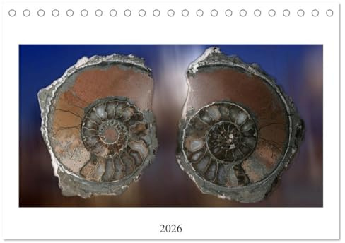 Versteinerte Welt (Tischkalender 2026 DIN A5 quer), CALVENDO Monatskalender: Außergewöhnliche Fossilien neu interpretiert (CALVENDO Wissen)