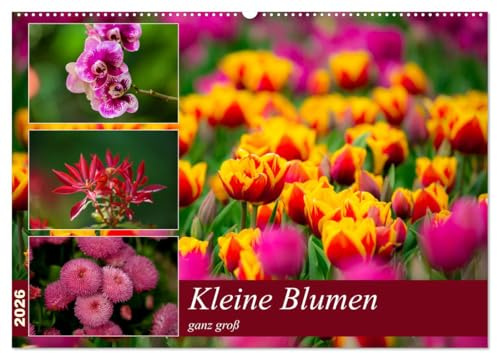 Kleine Blumen ganz groß (Wandkalender 2026 DIN A2 quer), CALVENDO Monatskalender: Erfischender und Harmonischer Kalender mit der Schönheit der Natur ganze Schönheit der Botanik. (CALVENDO Natur)