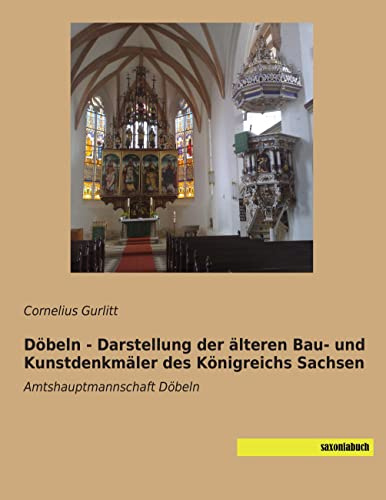 Doebeln - Darstellung der aelteren Kunstdenkmaeler des Koenigreichs Sachsen: Amtshauptmannschaft Doebeln: Amtshauptmannschaft Döbeln