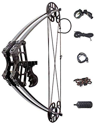 ZSHJG Bogenschießen Compoundbogenset 40lbs Jagdbogen Rechte & Linke Hand Jagdwettbewerb Compoundbogen für Außenaufnahmen (Typ 1 / schwarz)