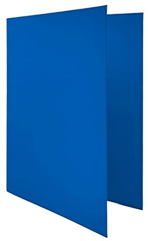 Raylu Paper® - Raccoglitore 4 anelli a D da 25 mm, raccoglitore A4 con anelli per riporre documenti, formato A4 33,5 cm di altezza x 26 cm di larghezza e dorso di 4 cm di spessore (blu scuro)