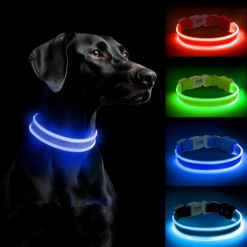 PcEoTllar Leuchthalsband Hund Aufladbar, LED Hundehalsband Leuchtend mit 3 Leuchtmodi, Leuchtendes Hundehalsband Verstellbares Wasserdicht für Kleine Mittlere Große Hunde, Blau-M