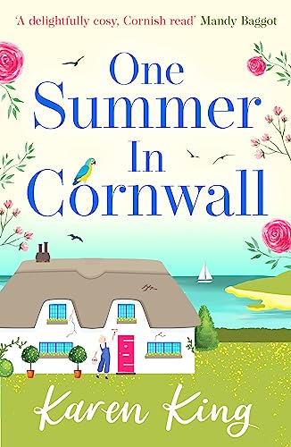 One Summer in Cornwall: the perfect feel-good summer romance