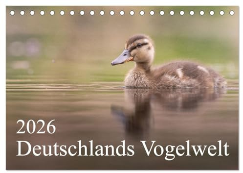 Deutschlands Vogelwelt (Tischkalender 2026 DIN A5 quer), CALVENDO Monatskalender: Ein Jahr voller spannender Vogelarten aus Deutschland. (CALVENDO Tiere)