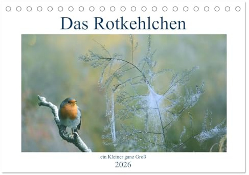 Das Rotkehlchen, ein Kleiner ganz Groß (Tischkalender 2026 DIN A5 quer), CALVENDO Monatskalender: Lange hab ich gebraucht, um diese schöne Serie zu zeigen. (CALVENDO Tiere)