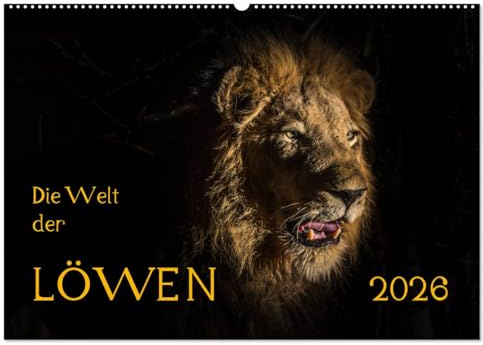 Die Welt der Löwen (Wandkalender 2026 DIN A2 quer), CALVENDO Monatskalender: Einblicke in das Familienleben der Löwen (CALVENDO Tiere)