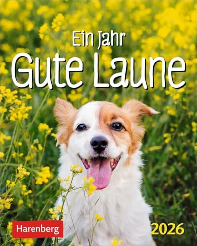 Ein Jahr gute Laune Mini-Geschenkkalender 2026: Kleiner Kalender zum Schmunzeln an jedem Tag, mit 365 Zitaten zum Lachen. Aufstellkalender 2026 für ... Freude (Mini-Geschenkkalender Harenberg)