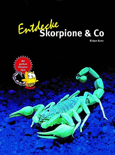 Entdecke Skorpione & Co: Mit großem Skorpion-Quiz (Entdecke - Die Reihe mit der Eule: Kindersachbuchreihe)