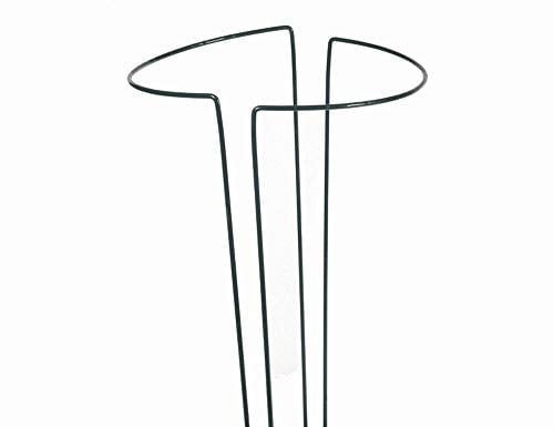Siena Garden Strauchstütze, 70x40cm, grün, 561349
