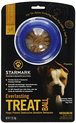 Starmark Everlasting Dog Treat Ball, Medium