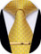 YourTies Herren Krawatten Gestreifte Krawatte und Plaid Krawatten für Männer Gewebte Seide Krawatte Gold Krawattenklammer Set, Gelb mit weißen Punkten, Einheitsgröße