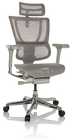 hjh OFFICE Bürostuhl ergonomisch ERGOHUMAN Slim G GEN2 Originales Design, 24h Einsatz, Drehstuhl mit Flexibler Lordosenstütze, Netz Hellgrau