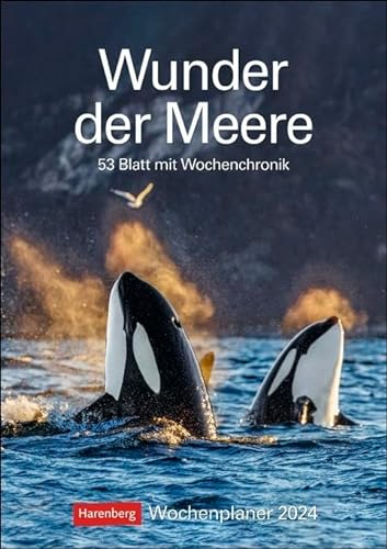 Wunder der Meere - Kalender 2024 - Harenberg-Verlag - Wochenkalendarium - 54 Blatt mit spannenden Informationen zu Meeres-Tieren - Wandkalender - 25 cm x 35,5 cm