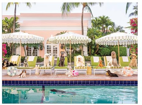 Galison Gray Malin Palm Beach – 1000 Piece Book Puzzle with Glamorous Palm Beach Dogs Photography Packaged in Magnetic Keepsake Book Sized Box