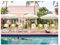 Galison Gray Malin Palm Beach – 1000 Piece Book Puzzle with Glamorous Palm Beach Dogs Photography Packaged in Magnetic Keepsake Book Sized Box