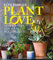 Plant Love: How to choose and care for your houseplants