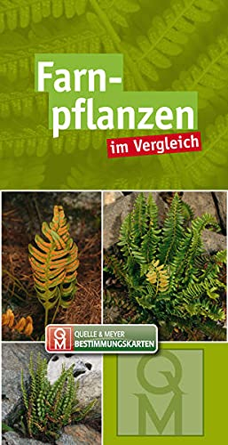 Farnpflanzen: im Vergleich (Quelle & Meyer Bestimmungskarten)