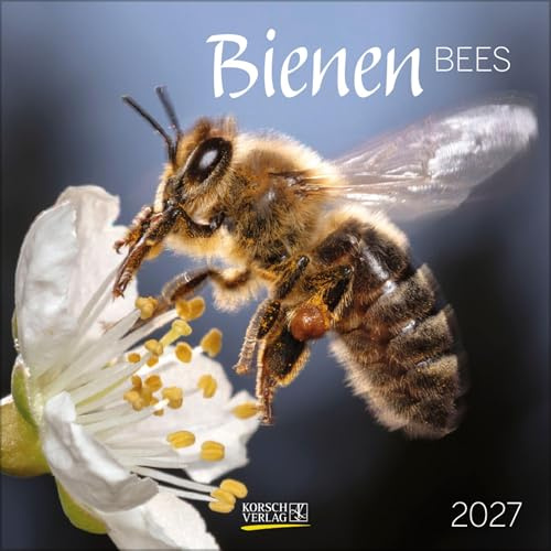 Bienen 2027: Broschürenkalender mit Ferienterminen. Format: 30 x 30 cm