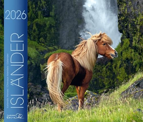 Isländer 2026: Isländische Pferde