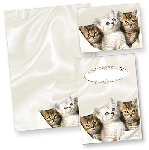 Katzen Briefpapier (50 Blatt) Motivpapier A4 90g inkl. 3 Postkarten + Schreibblock