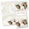 Katzen Briefpapier (50 Blatt) Motivpapier A4 90g inkl. 3 Postkarten + Schreibblock