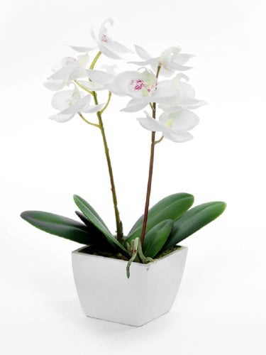 Country Baskets – Orchidée artificielle dans un petit pot