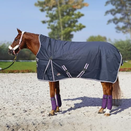 Horsenjoy Regen-Weidedecke Aristo High Neck 200g dunkelblau (125 cm)