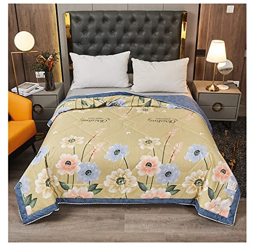 ASDFGHT Steppdecke Bunt Therapiedecke Baumwoll Maulbeerseide, Sommer Einzel und Doppelwaschbare Steppdecke, Dünn Atmungsaktiv und Hautfreundlich(H,180x220cm(71x87ft)(1.5kg))