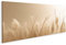 islandburner Bild auf Leinwand Pampasgras Minimalist Pampasgras Minimalist Bilder Wandbilder Poster