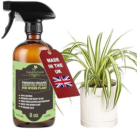 GARDENNOVA Professional Organic Liquid Kelp Spray for Spider Plant Plants - 8 oz - Ready-to-Use Fully Organic Seaweed & Kelp Fertilizer Mist