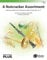 A Nutcracker Assortment: Featuring Melodies from Tchaikovsky's Ballet the Nutcracker, Op. 71, Conductor Score (Belwin Concert Band - Performanceplus+)