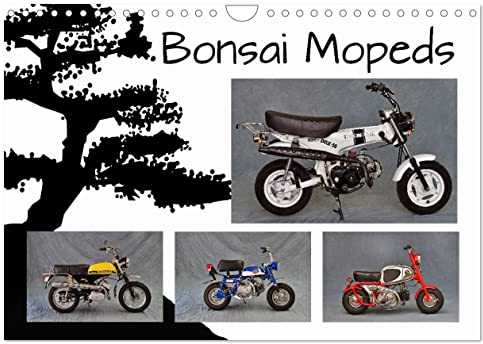Bonsai Mopeds (Wandkalender 2025 DIN A4 quer), CALVENDO Monatskalender: Kleine Moped Flitzer aus vergangenen Tagen (CALVENDO Mobilitaet)
