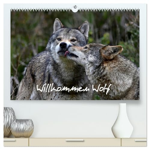 Willkommen Wolf (hochwertiger Premium Wandkalender 2026 DIN A2 quer), Kunstdruck in Hochglanz: Der Wolf ist zurück (CALVENDO Tiere)