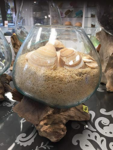 Melted Hand Blown Glass and Teak Root Wood Sculptured Vase/ Bowl Small