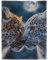 YISUMEI Kuscheldecke Weiche Warme Flauschige Fleece Decke, Gepard vs. Leopard, 150 x 200 cm