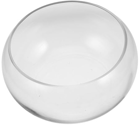 BESPORTBLE Klare Glasblumenvase Für Hydroponik Eleganter Pflanztopf Für Sukkulenten Geldpflanzen Und Aquarien Für Tischdeko Und Innenräume