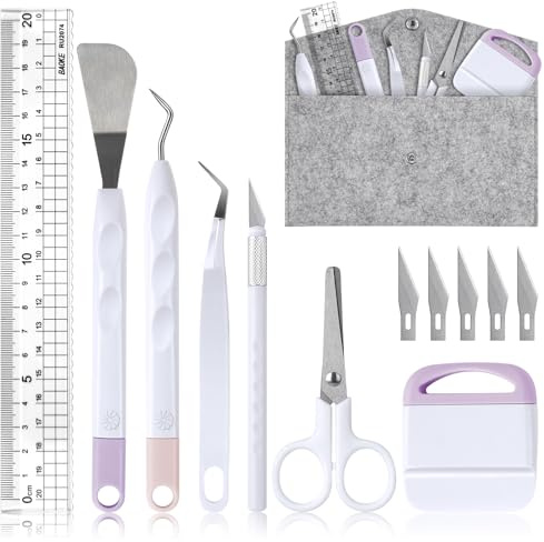 OSDUE Entgitterwerkzeug Plotter Zubehör, 13 Stück Vinyl Jäten Werkzeuge, Edelstahl DIY Bastelwerkzeug Set für Sammelalbum, Silhouette, HTV, Cameos, Beschriftung