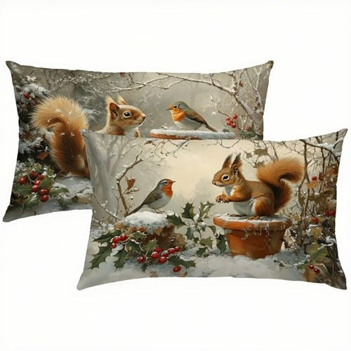 Eichhörnchen Kissenbezug 30x50 Kissenbezug Winter Leinen 2er Set, Wasserdichter Kissenbezüge für Alle Jahreszeiten, Mode Flauschig Weich Pillow Cover, Deko für Wohnzimmer Sofa, Bett, Garten S1-172