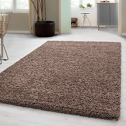 Carpetsale24 Shaggy Hochflor Teppich, 300x400 cm, Mokka, weich, flauschig, modern, einfarbig, Für sehr große Räume, für Wohnzimmer Schlafzimmer Flur