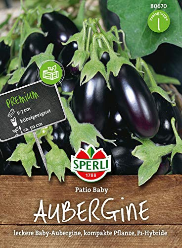 Aubergine, Patio Baby, Solanum melongena