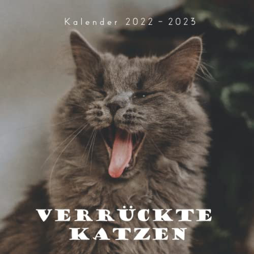 Verrückte Katzen Kalender: Wandkalender 2022 2023 - 8.5x8.5 inches - Geschenke für Familie und Freunde